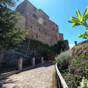 Petrella delle rose